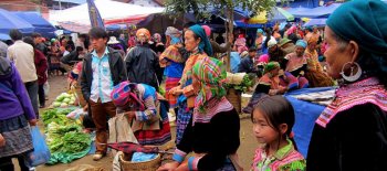 bac ha